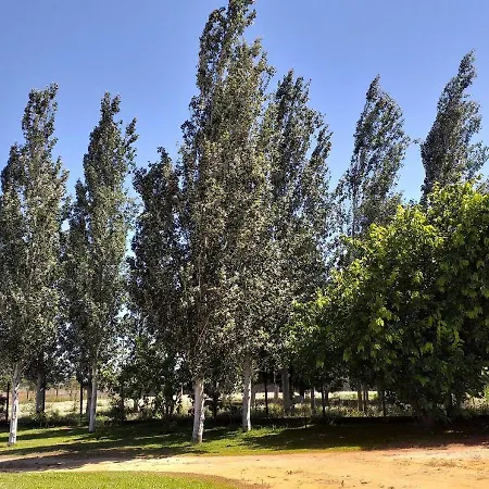 Greenside Of Sea אכסניה *