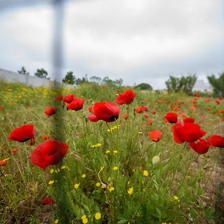 Хостел Greenside Of Sea *