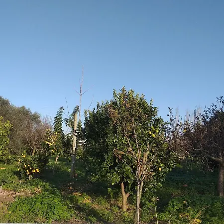 Хостел Greenside Of Sea