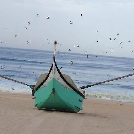 Greenside Of Sea * Corujeira (Coimbra)