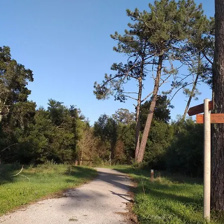 Greenside Of Sea * Corujeira (Coimbra)