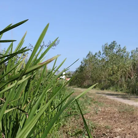 אכסניה Greenside Of Sea