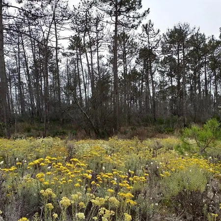 אכסניה Greenside Of Sea *