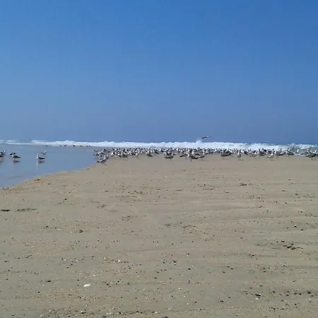 Хостел Greenside Of Sea Corujeira (Coimbra)