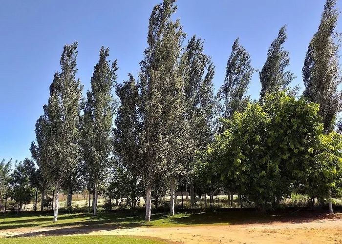 Greenside Of Sea Vandrerhjem *