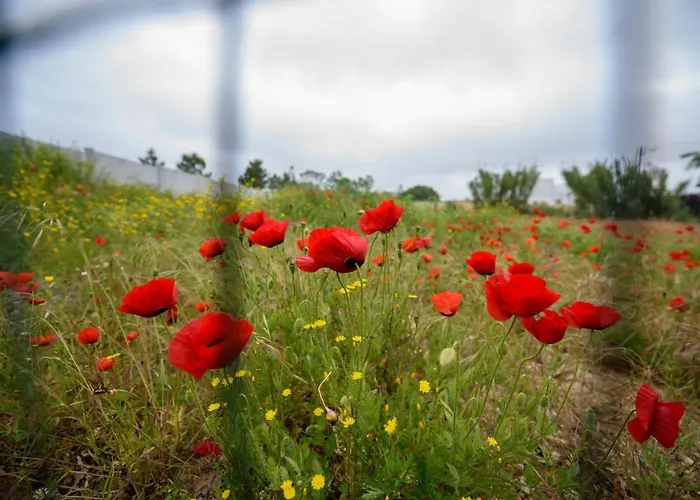 Vandrerhjem Greenside Of Sea *