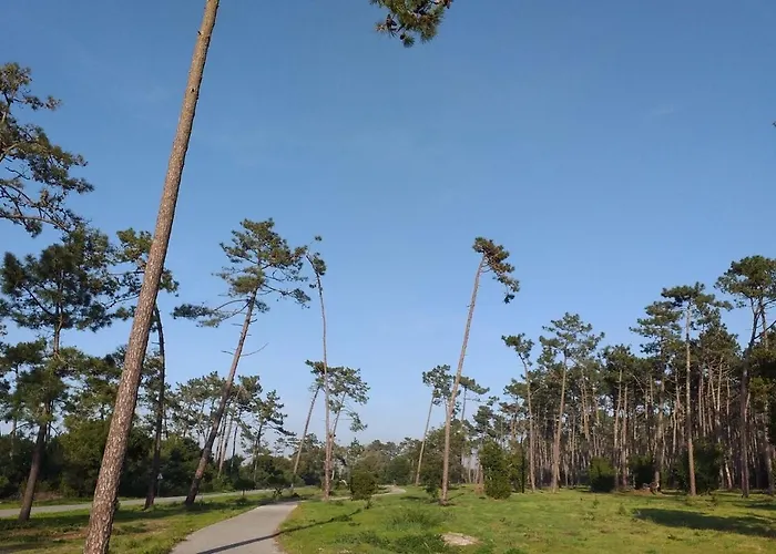 Greenside Of Sea Vandrerhjem