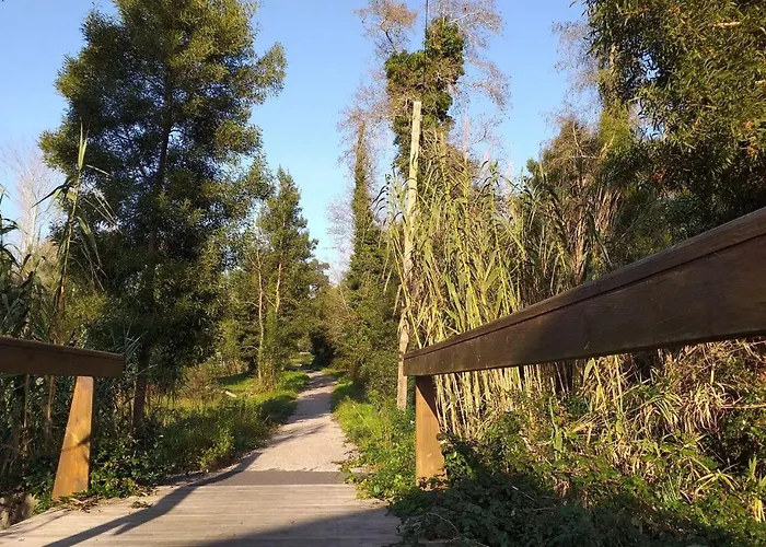 Greenside Of Sea Corujeira (Coimbra)