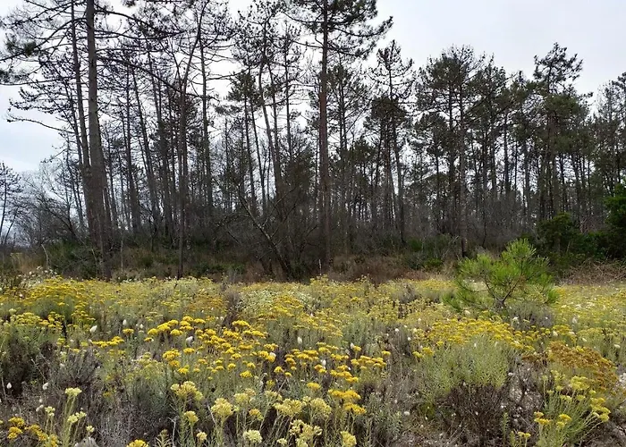 Vandrerhjem Greenside Of Sea *