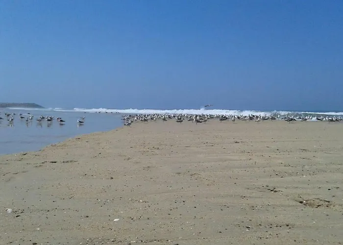 Vandrerhjem Greenside Of Sea Corujeira (Coimbra)